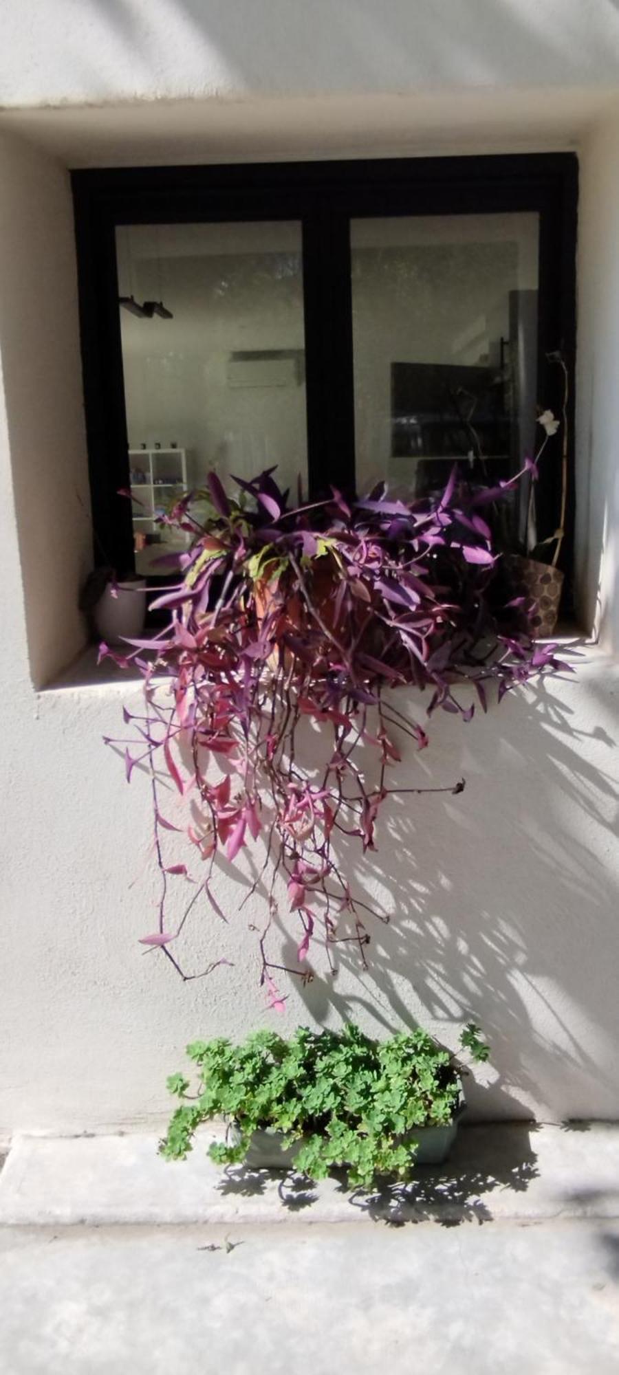 Mas En Provence Vila Le Thor Exterior foto